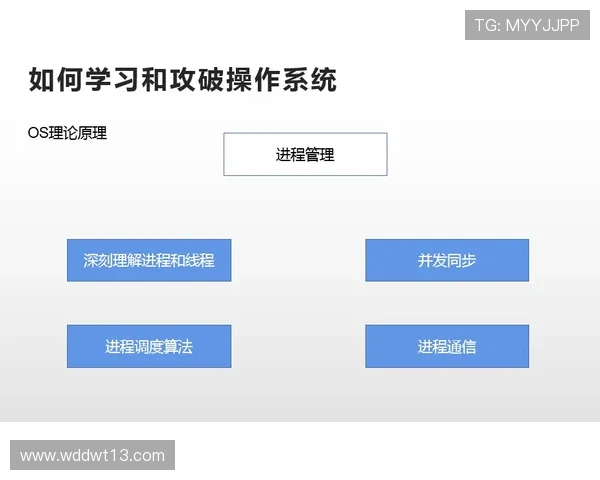 深入了解sbf888唯一登录网站的安全性与优势 深入了解sbf888唯一登录网站的安全性与优势